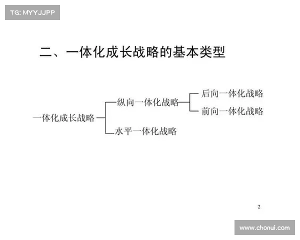 个性化盗贼角色全面提升技巧与成长策略解析 个性化盗贼角色全面提升技巧与成长策略解析
