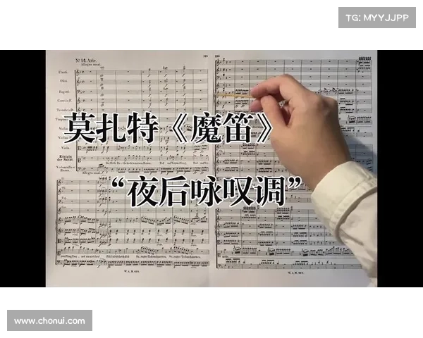 夜后咏叹调中灵魂与月光的深情交织与奇幻回响 夜后咏叹调中灵魂与月光的深情交织与奇幻回响